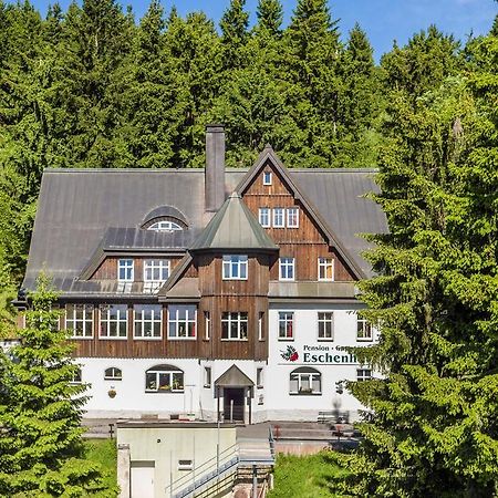 Pension Und Gaststaette Naturbaude Eschenhof Обервиезентал Екстериор снимка