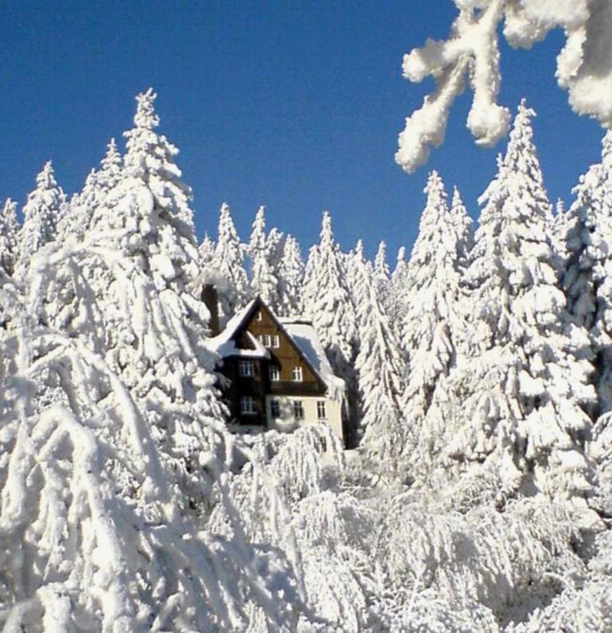 Pension Und Gaststaette Naturbaude Eschenhof Обервиезентал Екстериор снимка