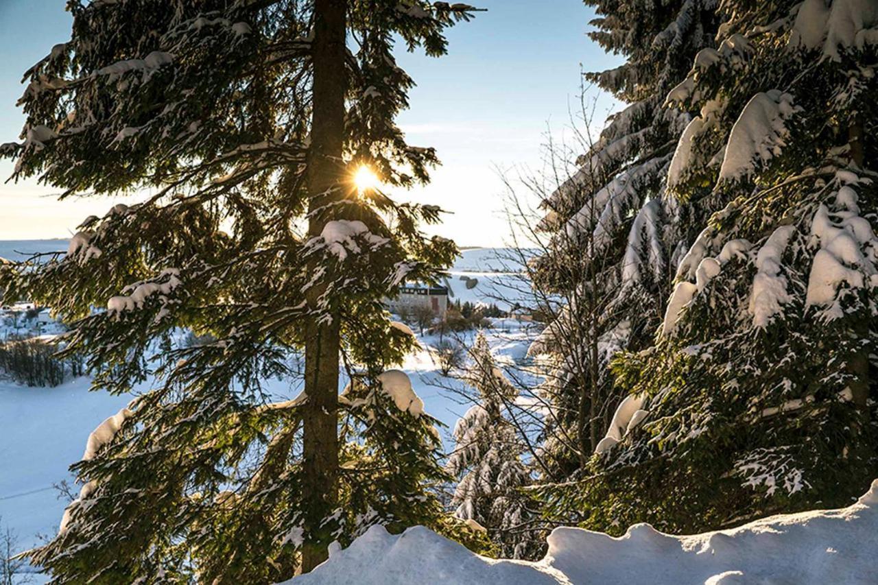 Pension Und Gaststaette Naturbaude Eschenhof Обервиезентал Екстериор снимка
