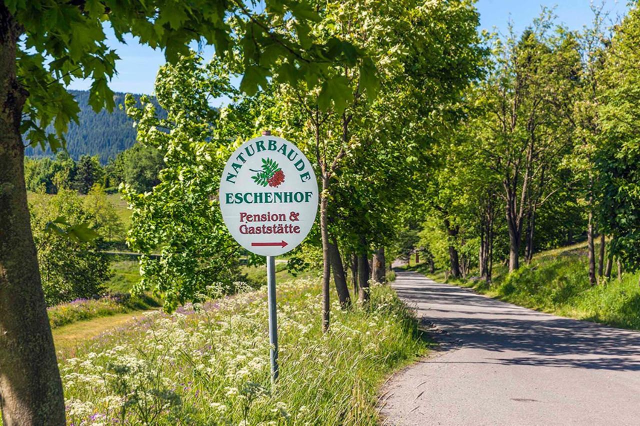 Pension Und Gaststaette Naturbaude Eschenhof Обервиезентал Екстериор снимка