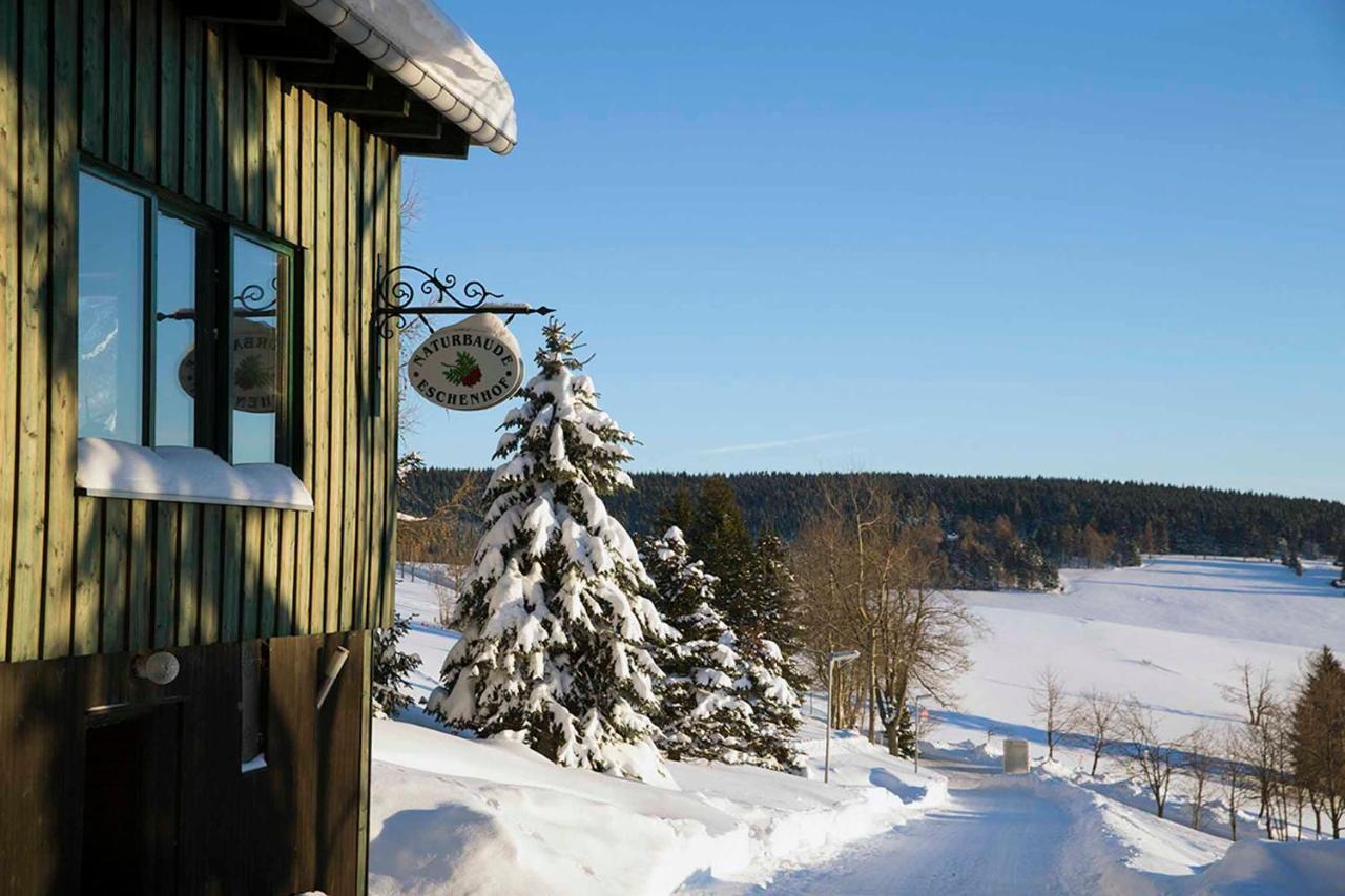 Pension Und Gaststaette Naturbaude Eschenhof Обервиезентал Екстериор снимка