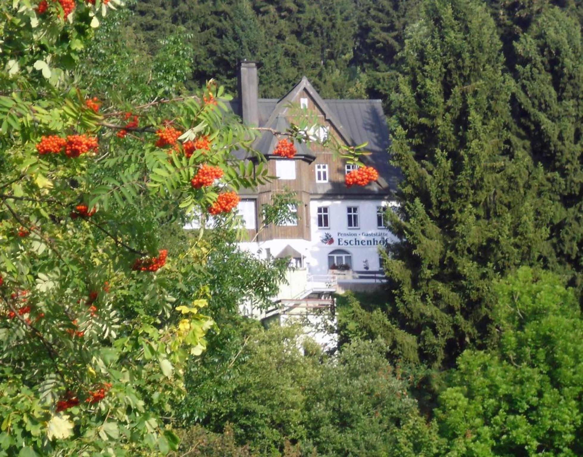 Pension Und Gaststaette Naturbaude Eschenhof Обервиезентал Екстериор снимка