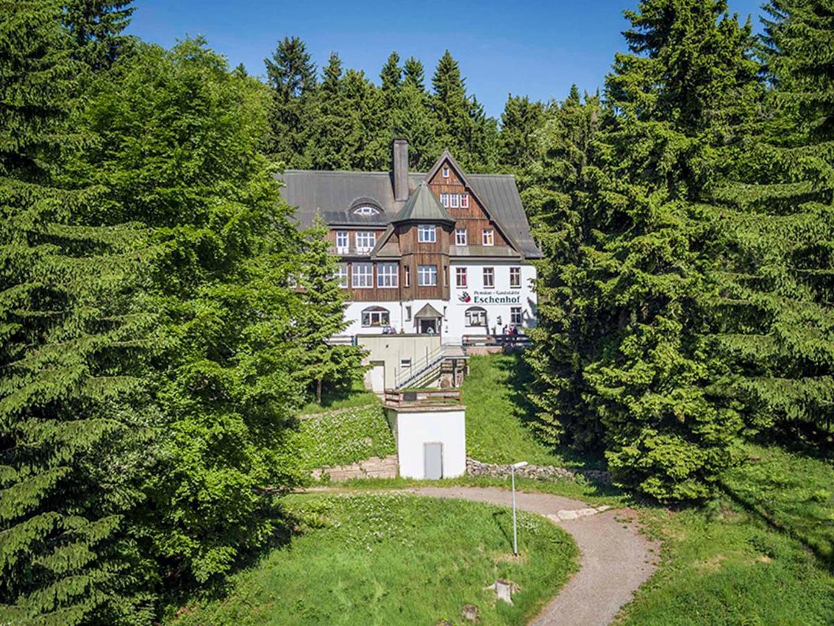 Pension Und Gaststaette Naturbaude Eschenhof Обервиезентал Екстериор снимка