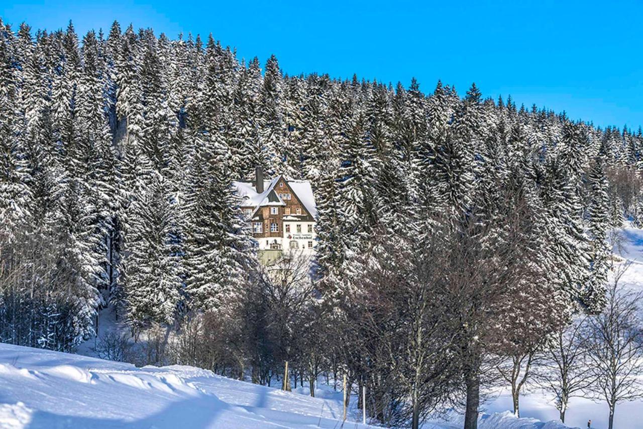 Pension Und Gaststaette Naturbaude Eschenhof Обервиезентал Екстериор снимка