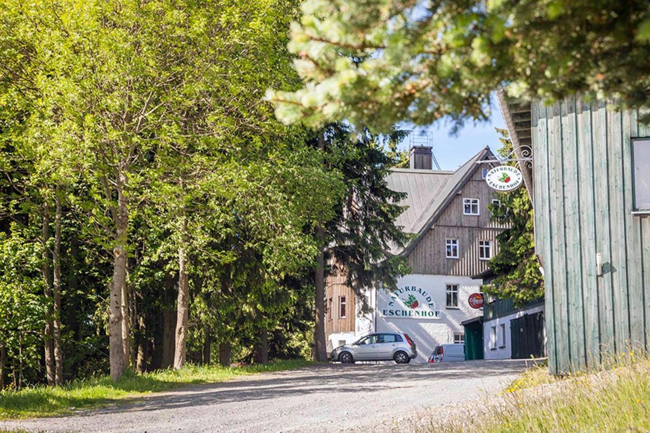 Pension Und Gaststaette Naturbaude Eschenhof Обервиезентал Екстериор снимка