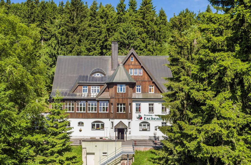 Pension Und Gaststaette Naturbaude Eschenhof Обервиезентал Екстериор снимка